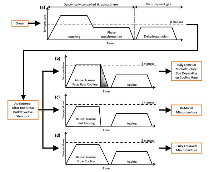 Figure 1: Schematic Representation of a Typical HSPT Thermal Profile