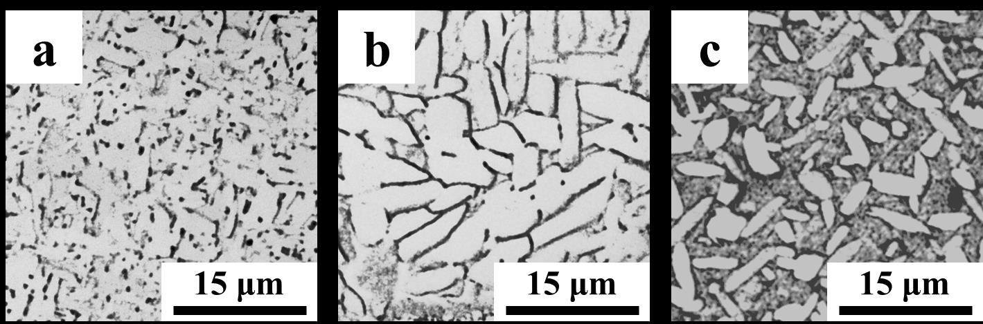 Figure 2: Optical Micrographs of Ti-6A1-4V