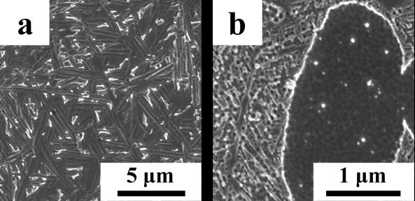 Figure 3: High Resolution SEM Micrographs of Ti-6Al-4V