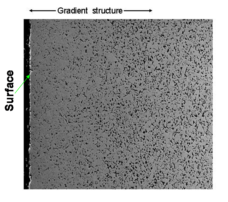 Figure 1: SEM Micrograph