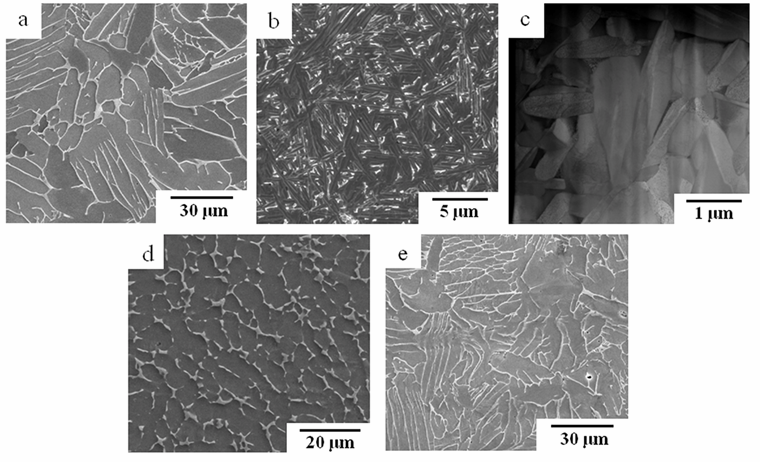 Figure 1: Microstructures